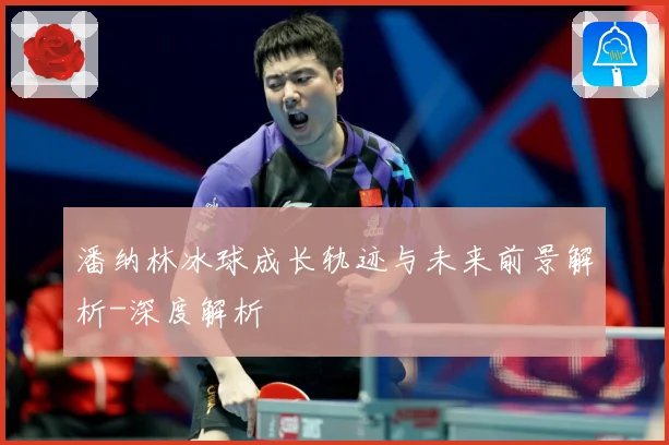 潘纳林冰球成长轨迹与未来前景解析-深度解析