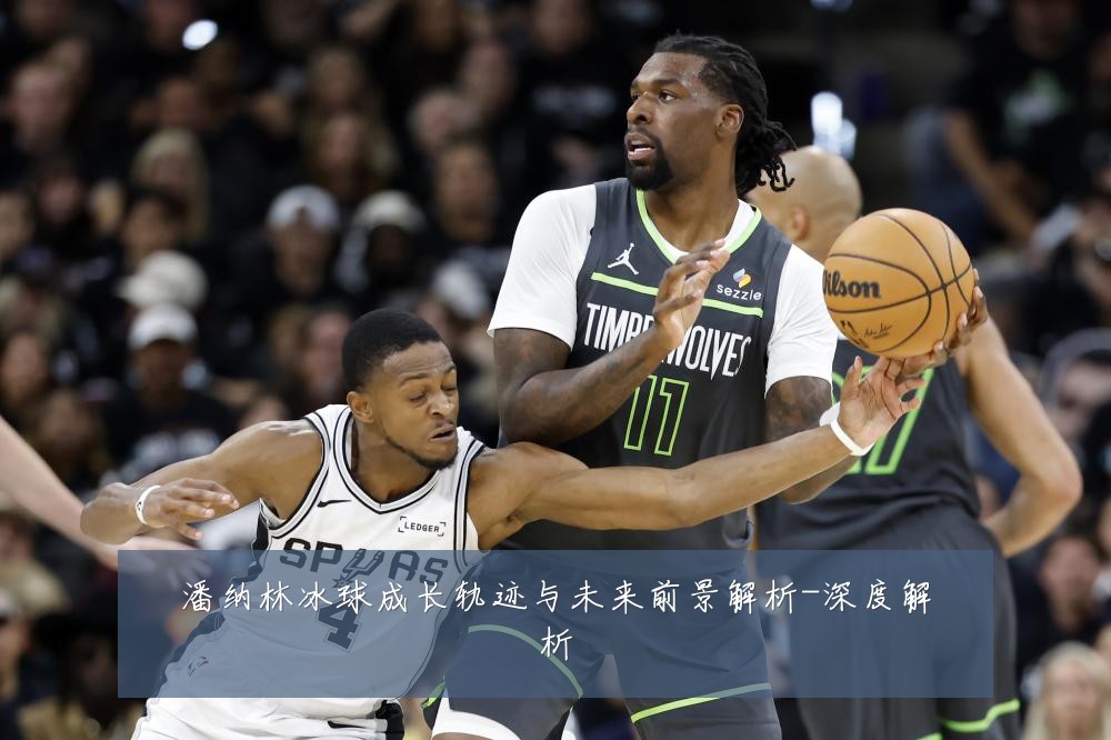潘纳林冰球成长轨迹与未来前景解析-深度解析